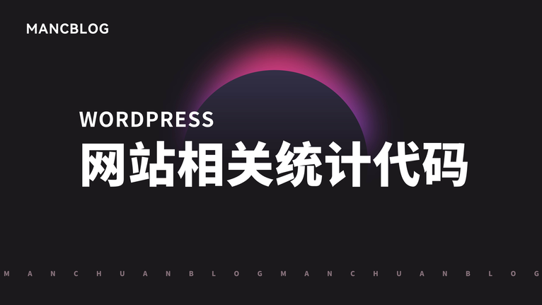 WordPress网站相关统计代码-大海博客